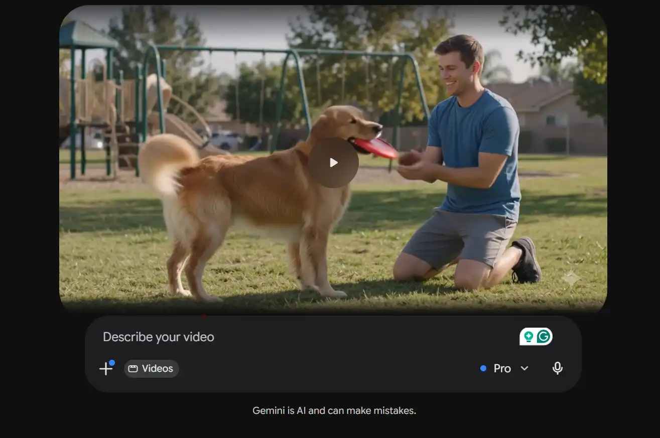 AI-generated video created with Gemini Omni showing a dog playing with its owner in a park playground scene